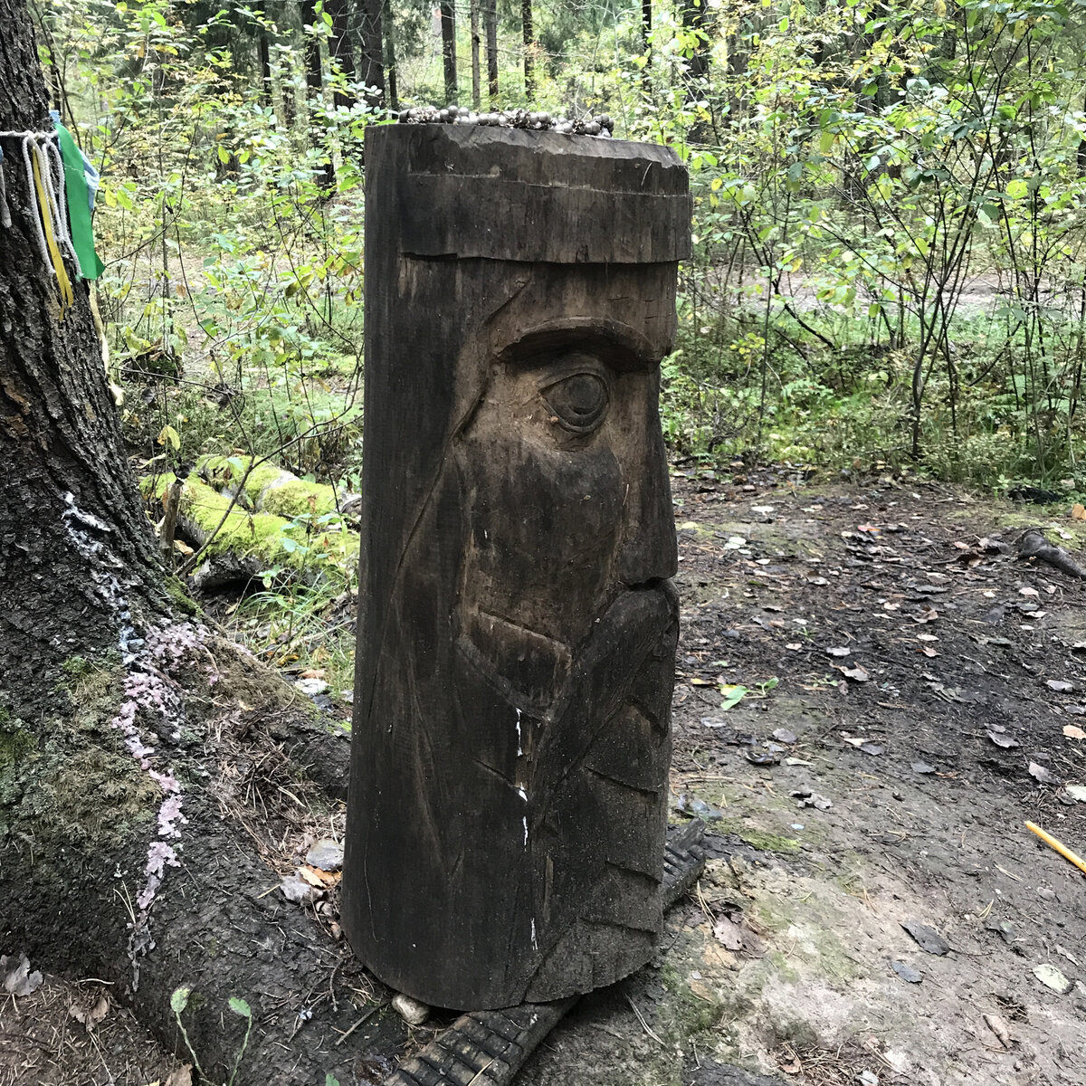 Рядом со змеиным камнем