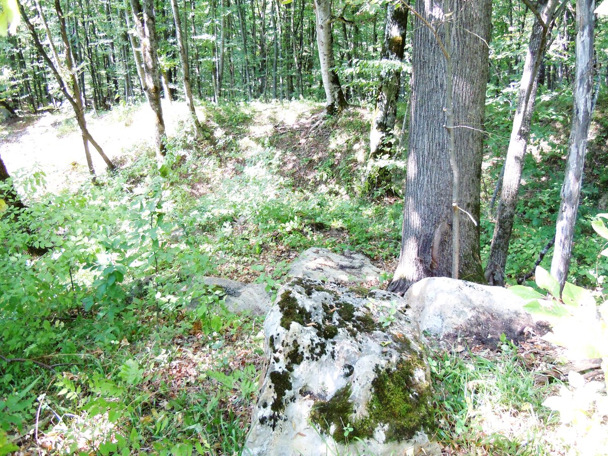 9. Вид на северо-запад с верха южной половины через ложбину на северную половину