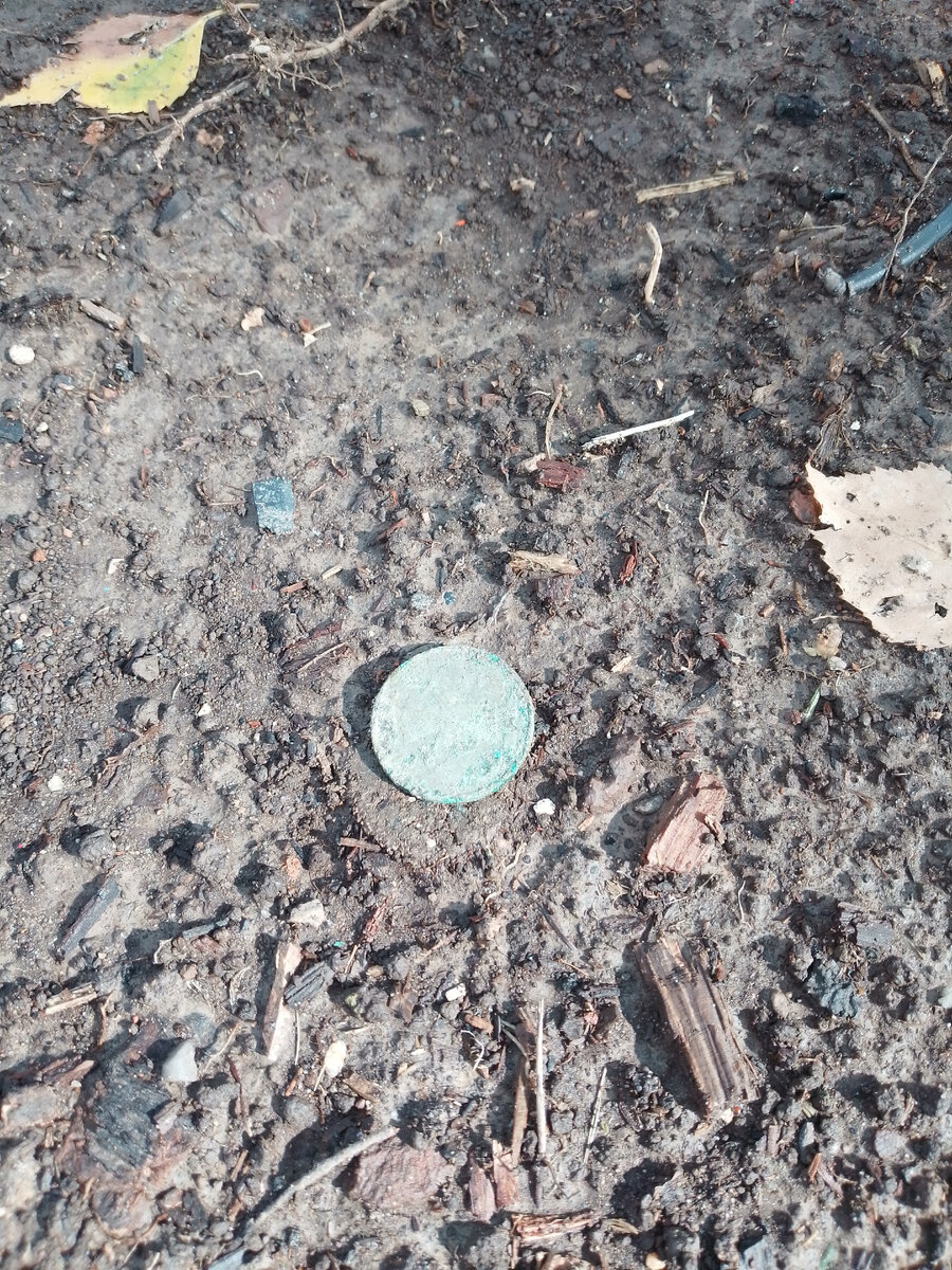 Фото автора. Первая находка.