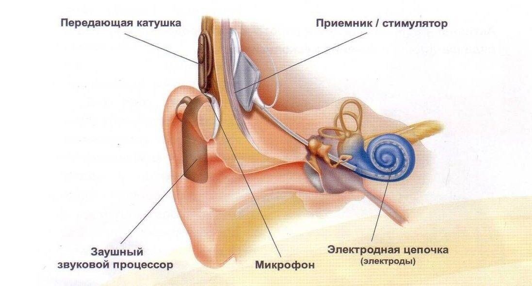 Фото из открытого доступа 