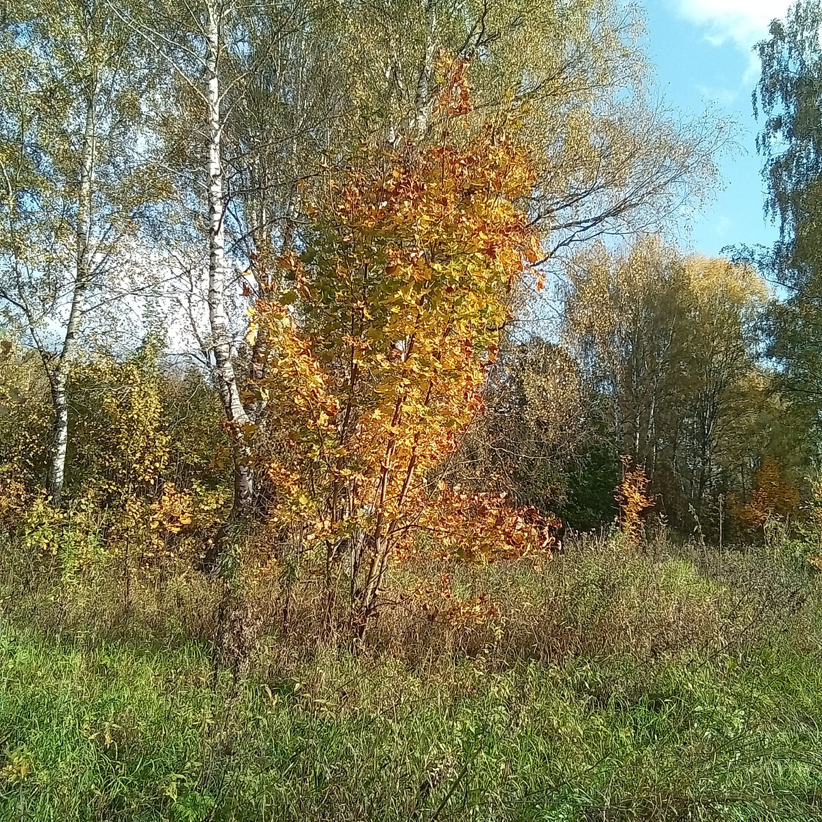Фото автора. 