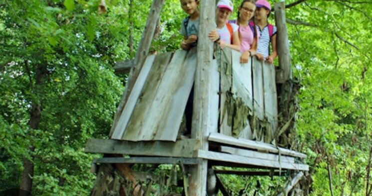 фото из свободного доступа