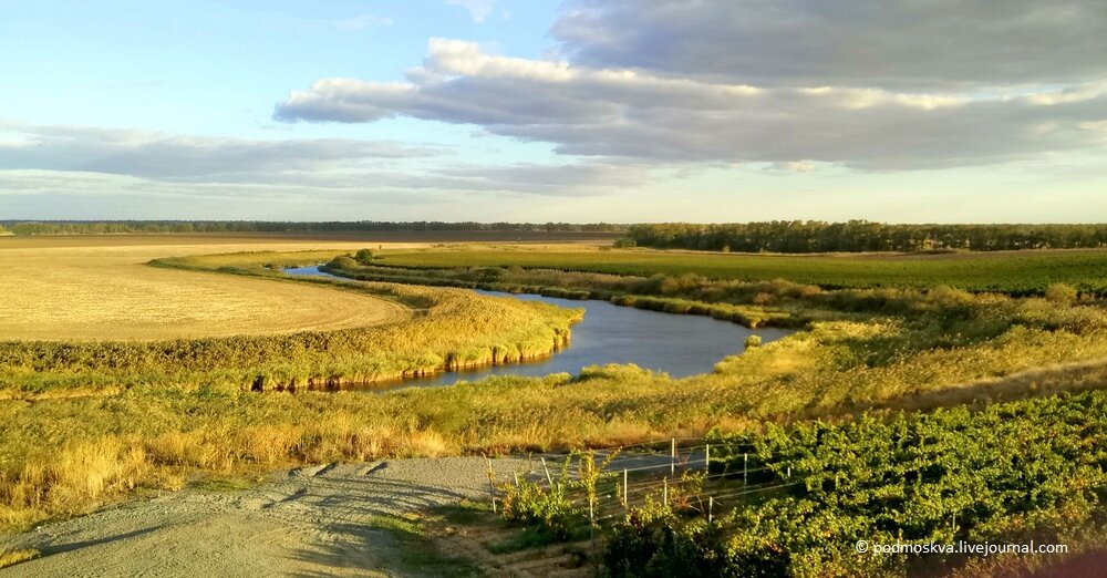 История его уходит корнями в далекую древность. Ростовская область гостеприимна, имеет огромный потенциал, богатую южную природу и уникальную культуру казаков. На Донской земле многие народы со своей самобытной культурой приходили на смену друг другу. В античности здесь селились древние греки, позже простирались земли Хазарского каганата, а прославился именно Казачий Дон. Народы жили разные, но все они оказываются связанными в истории виноградной лозой!


