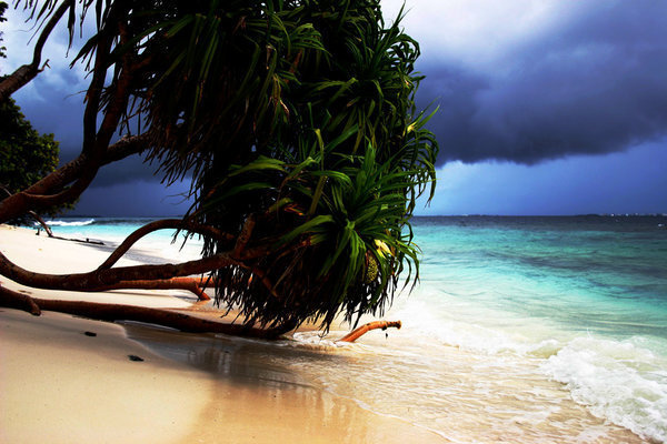 Ливни на Мальдивах