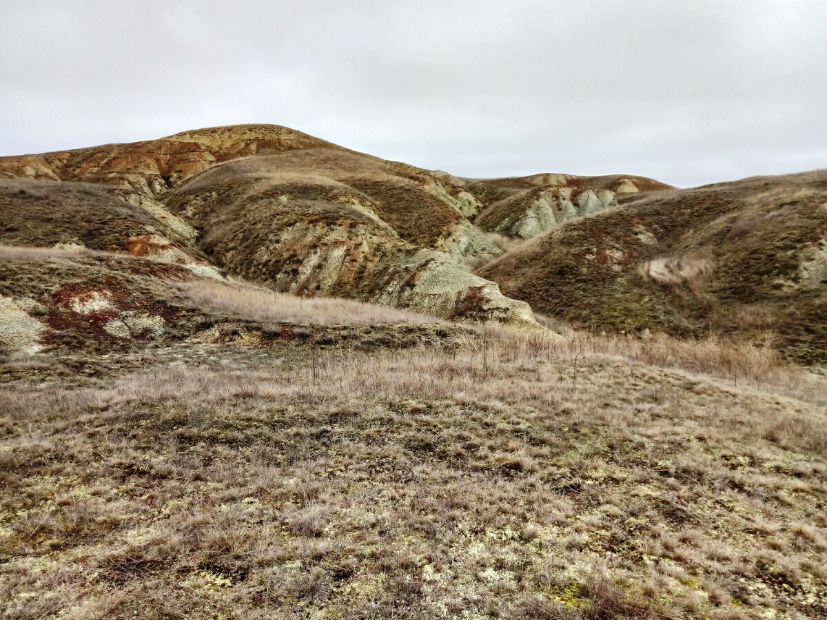 Террекон в Белогорске