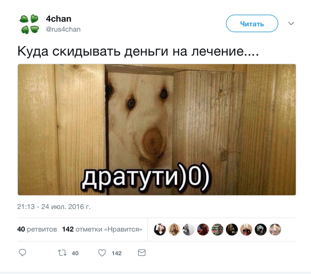 Картинка дратути с зайцем в пальто с надписью