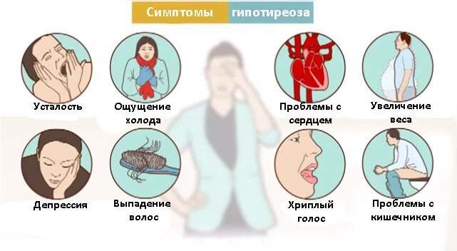 Из-за чего постоянно хочется спать: 7 основных причин сонливости