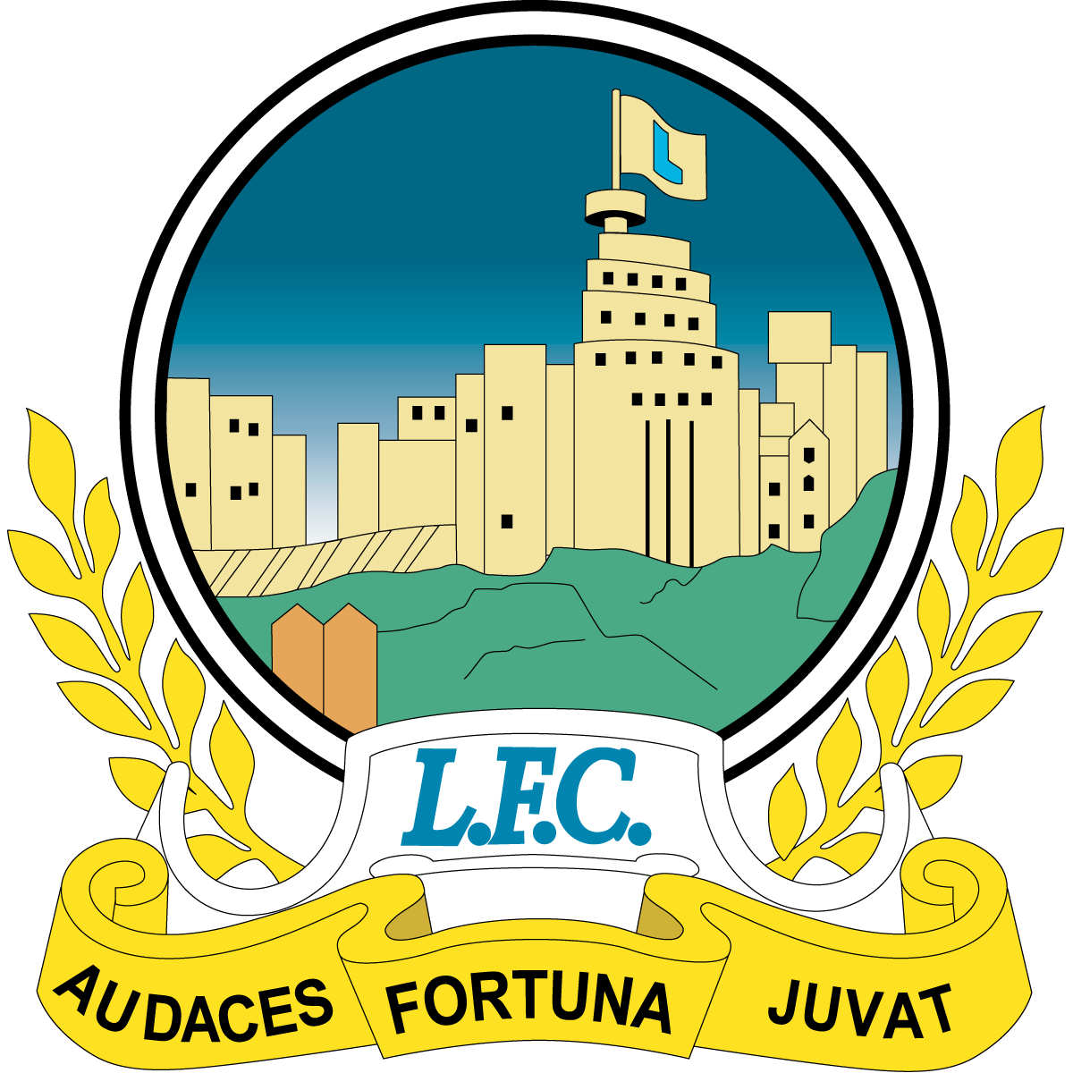 становился победителем внутреннего чемпионата 51 раз. Этот футбольный клуб Северной Ирландии является бесспорным лидером своей страны. Так же, Линфилд 9 раз выиграл кубок лиги и 42 раза завоевал кубок страны. А вот в Евро кубках этой команде не повезло ни разу, они по сей день, ничего не смогли выиграть на внешней арене. 
