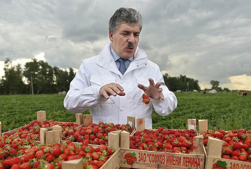 Фото - kommersant.ru