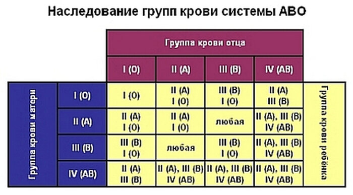 Определить отцовство по группе крови