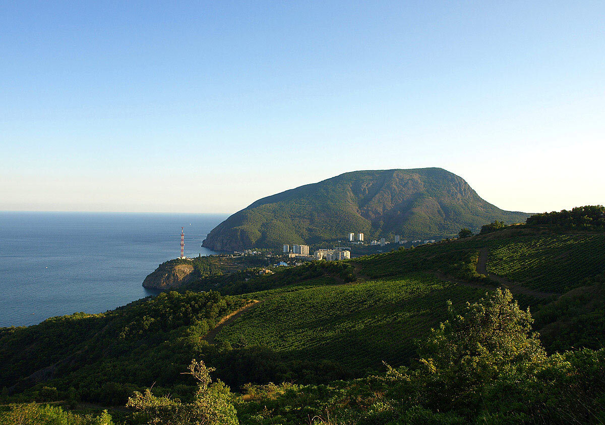 Медведь в гора в крыму фото