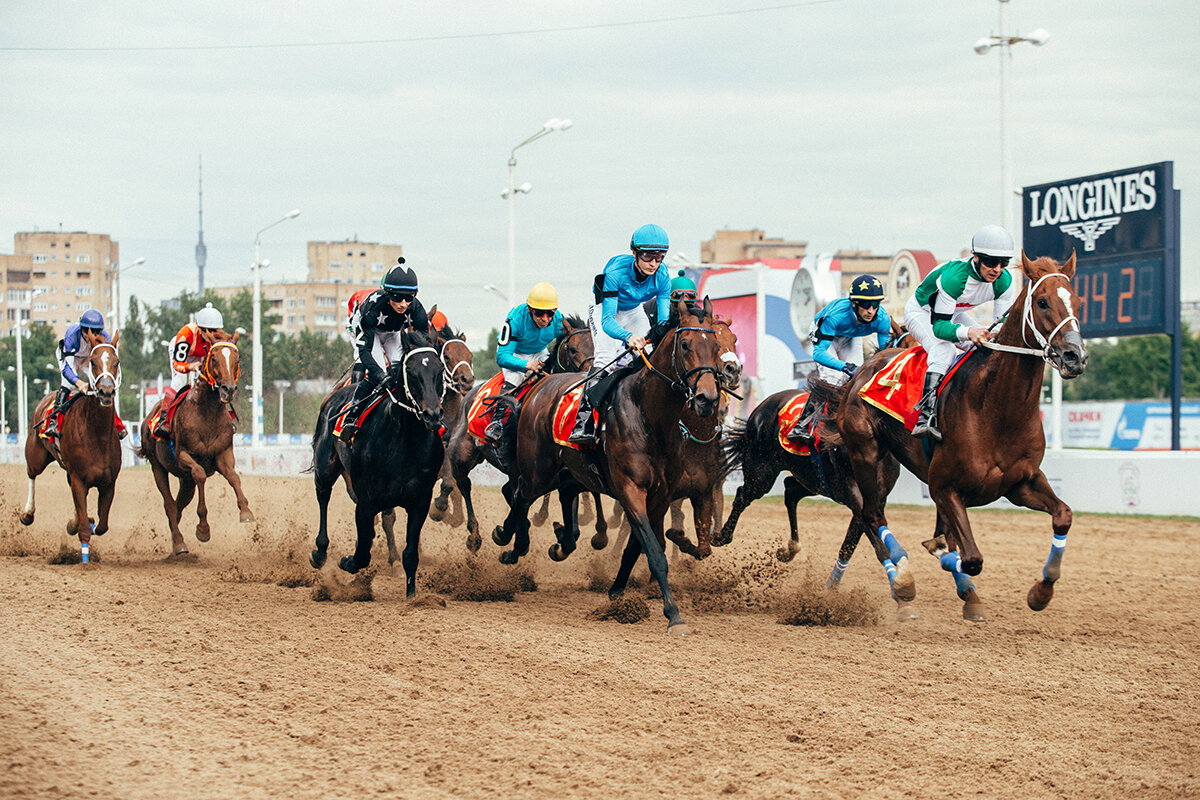 Скачки на приз президента Российской Федерации, 2017 год