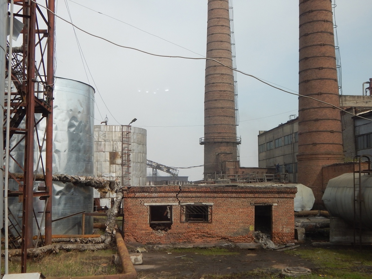 
Фотограф: Юлия Фурсова © Фотобанк Бабра