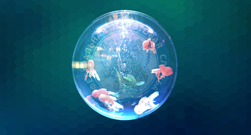 ФНС запускает сайт «Прозрачный бизнес»