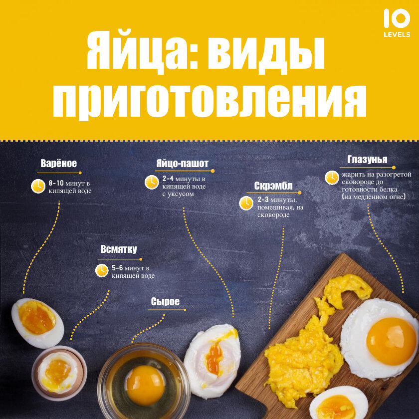 белок куриного яйца. что содержится в яйцах куриных. холестерин в желтке яйца. виды приготовления яиц. какое яйцо лучше усваивается.