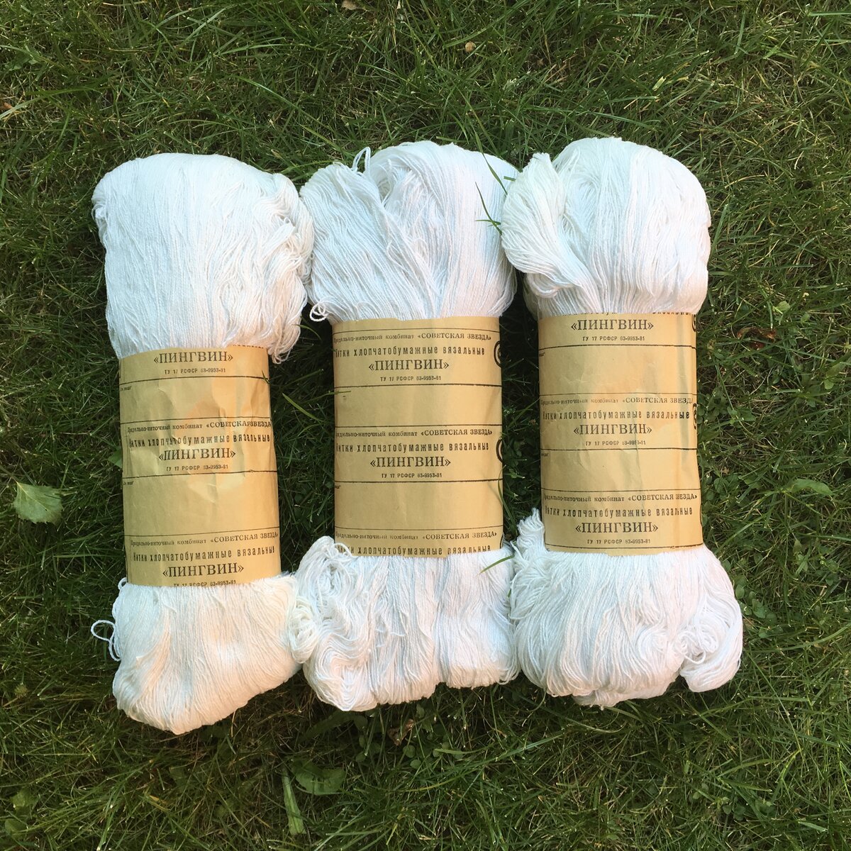 фото: Марина Феддер