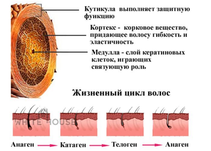 СЮЖЕТ Лак д\волос мега фиксация, 180 мл