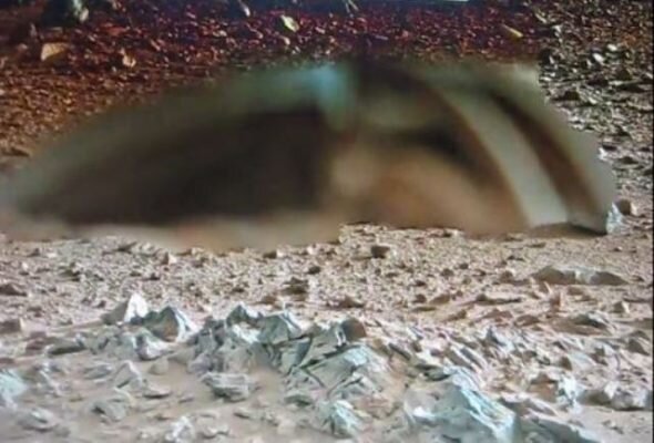 Эта фотография была сделана маркером Viking Rover, но была намеренно размыта NASA, чтобы скрыть что-то, что вызвало интерес исследователей