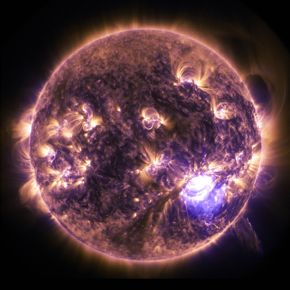 NASA/SDO/Duberstein