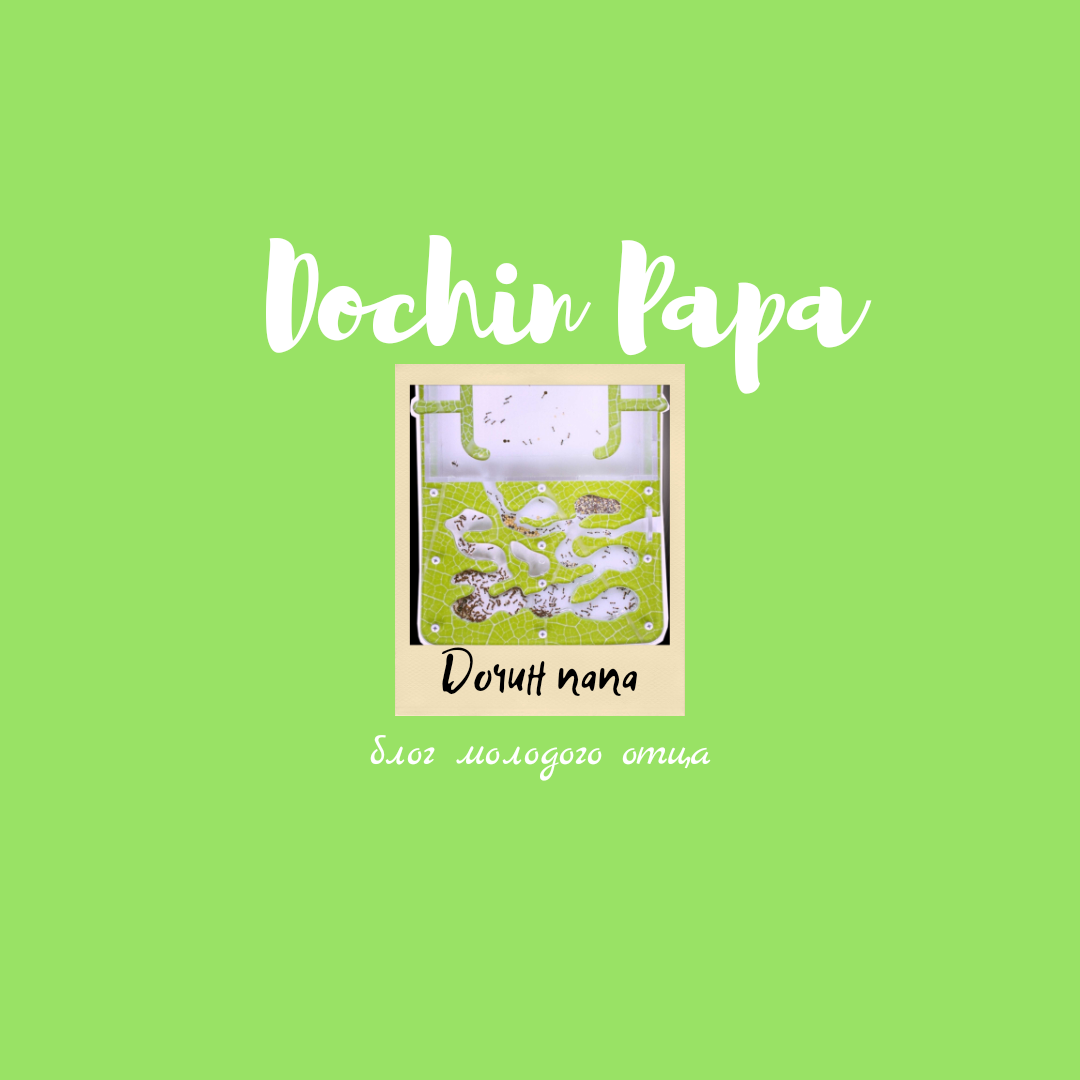 Я - папа двух дочек - 11-летней Ренаты и 11-месячной Леры, делюсь на своём дзен-канале разными историями о том, как себя чувствует и ощущает отец двух девчонок (спойлер: очень хорошо, несмотря на любые трудности! :)