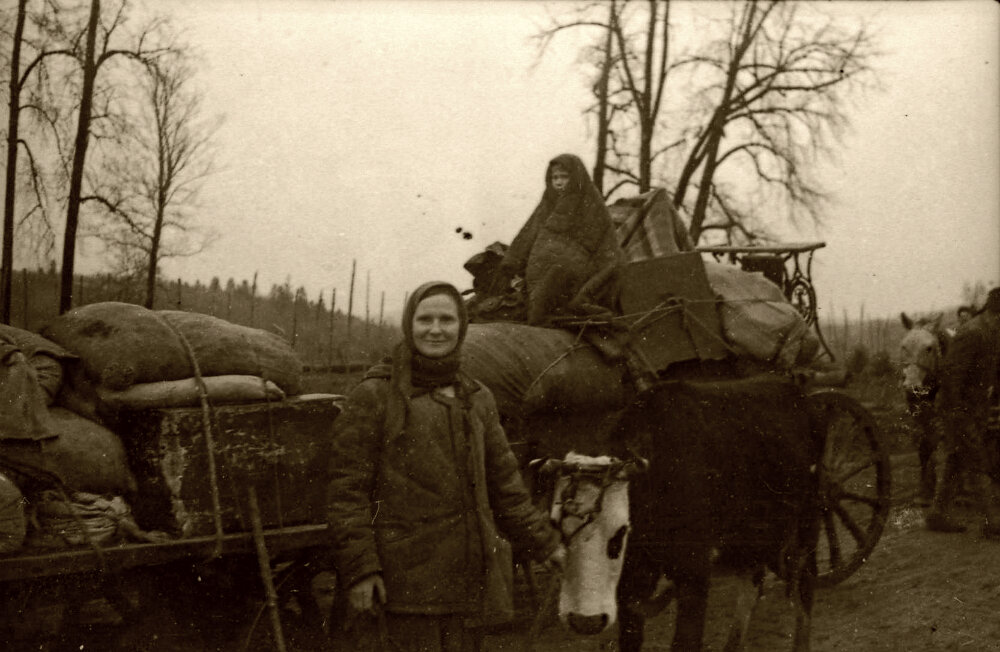 Жители освобожденного советского села возвращаются из леса, где скрывались от оккупантов. Калининский фронт. 1942 г.