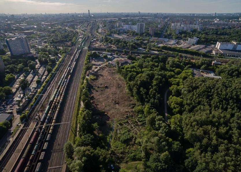 Следы вырубки в парке Кусково. Фото: https://zanarod.com.