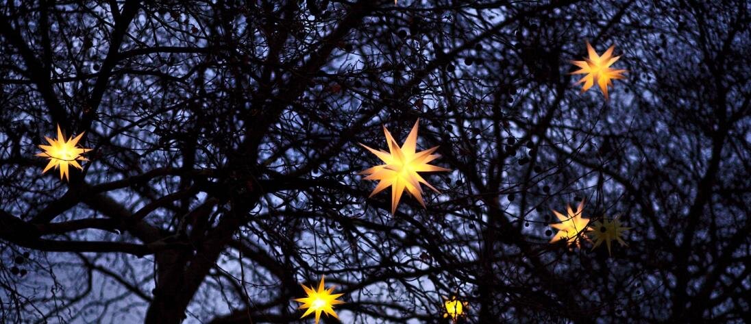 Photo by Filip Bunkens on Unsplash