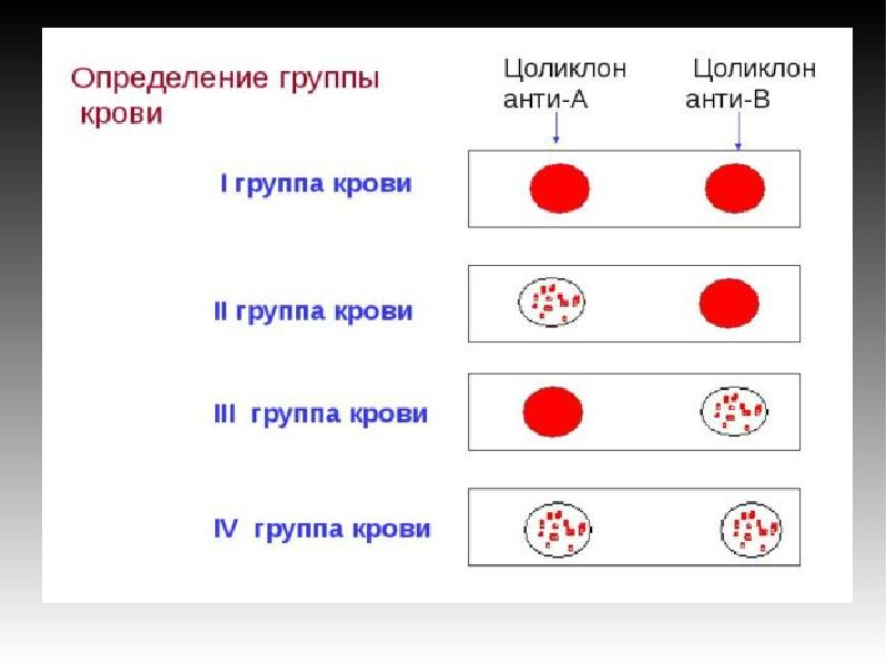 Определение группы крови и резус-фактора | Сдать анализ в Москве