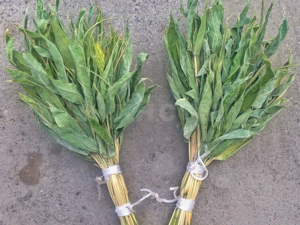 Польза бамбуковых веников для бани