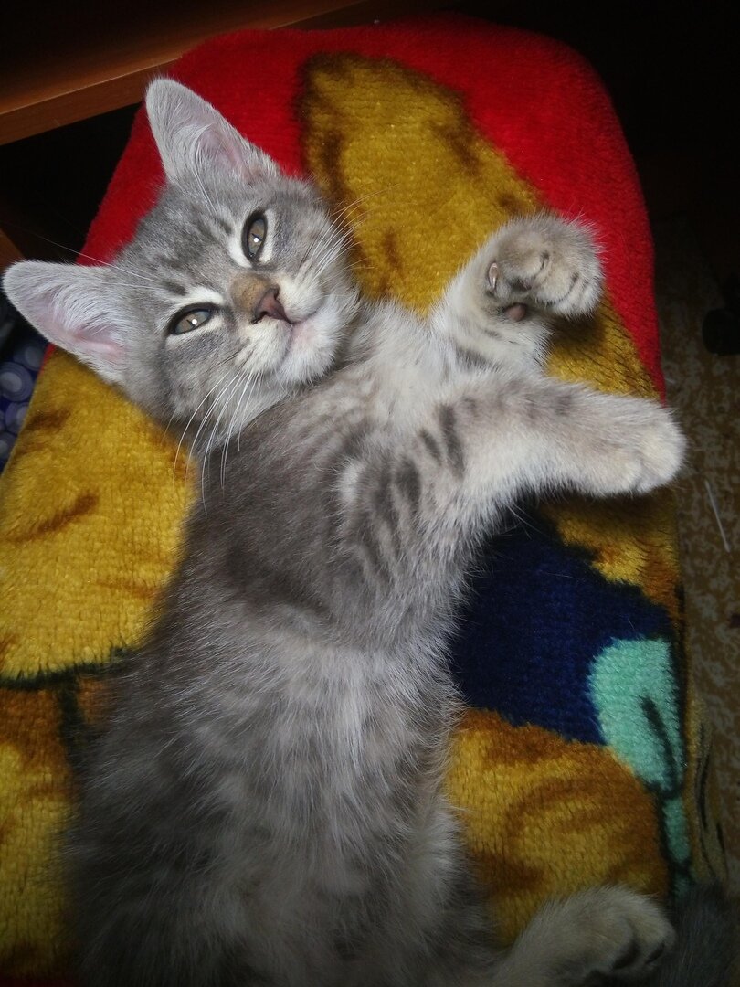 Как будто держит кружку, но без большого пальца это сложновато