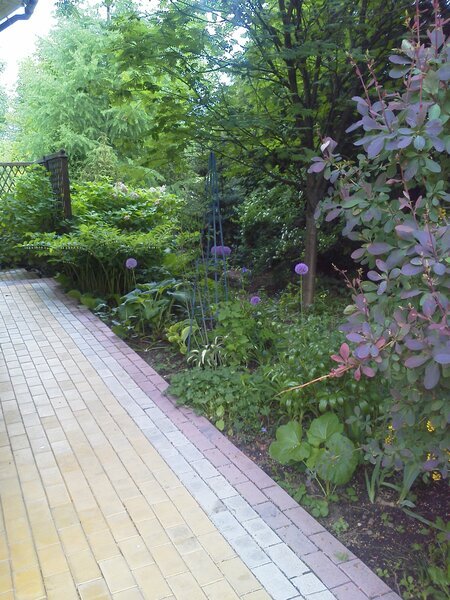  Клумба в сухой тени - Сад Анны Гауэр