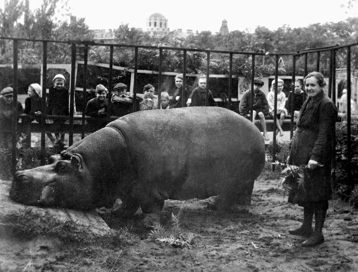 Красавица и Евдокия Ивановна Дашина. 1945 год