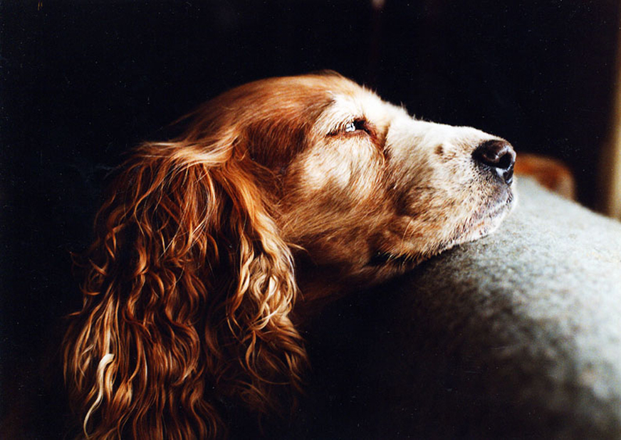 Фото из открытых источников.  