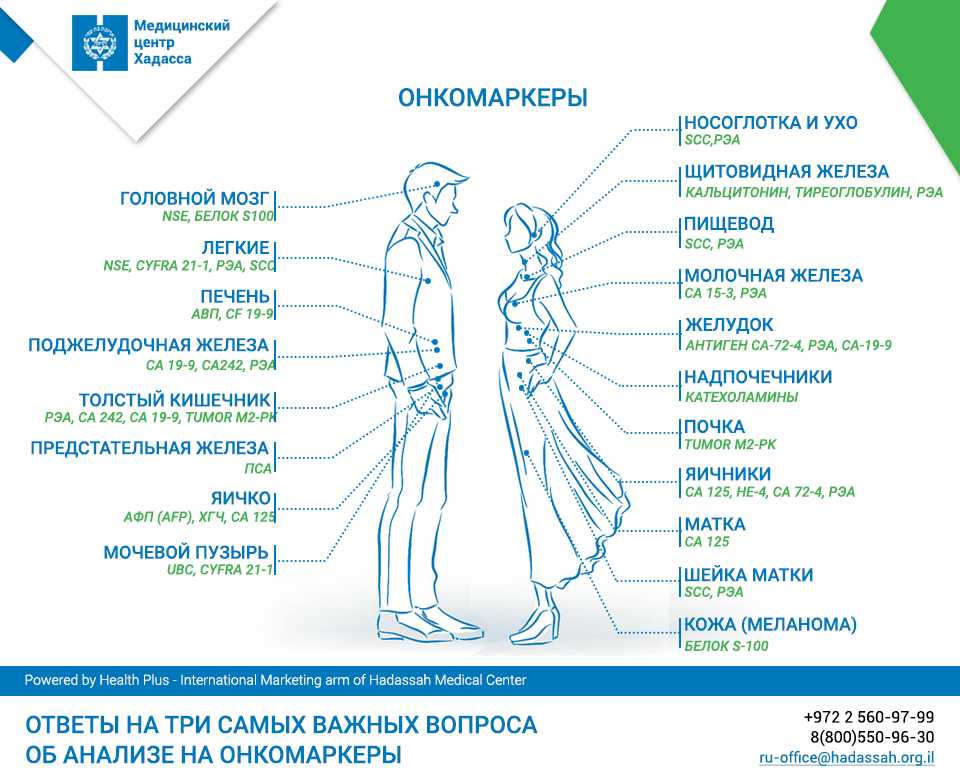 онкомаркеры в онкологии. онкомаркеры схема на человеке. онкомаркер на онкологию.