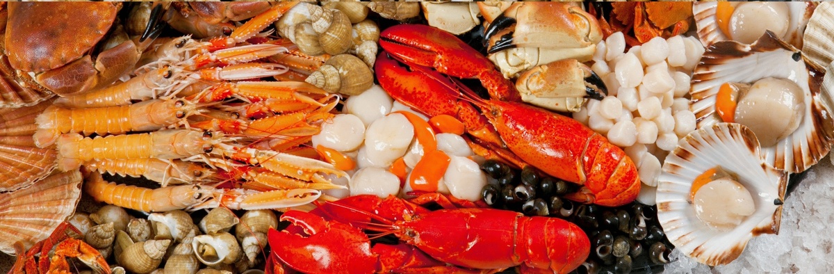 Морепродукты для повышения потенции, тестостерон