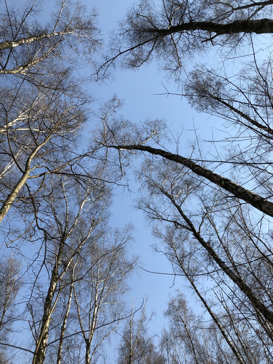 
⠀
Самое раннее воспоминание, это невероятно трогательное картина из детства. При напоминании о которой, у меня появляется улыбка😊
⠀
Я помню себя, лет в 4-5. Летом, я отдыхала у бабушки в деревне. Днем, после огорода, мы ходили в магазин, и для этого нужно было перейти дорогу. По которой машины ездили, раз в 10-15 минут🚗
⠀
Перед дорогой, я вырывала из бабушкиных рук свою ручонку. И со всей дури неслась, через проезжую часть, не смотря по сторонам🎈
⠀
Бабушка в след мне кричала, но я никогда не слышала ничего, просто останавливалась на другой стороне и ждала🏁
⠀
Когда она доходила до меня, то всегда начинала хохотать. А меня так забавлял и радовал бабушкин смех, что подходя к этой дороге, я неслась через нее, не задумываясь о машинах.
⠀
Ни с чем не сравнимое ощущение свободы и радости от смеха любимой бабули, отшибали напрочь мысли о правилах дорожного движения. Ну и конечно же, бабушка всегда контролировала дорогу☝🏻
⠀
А какие у вас первые воспоминания???? 