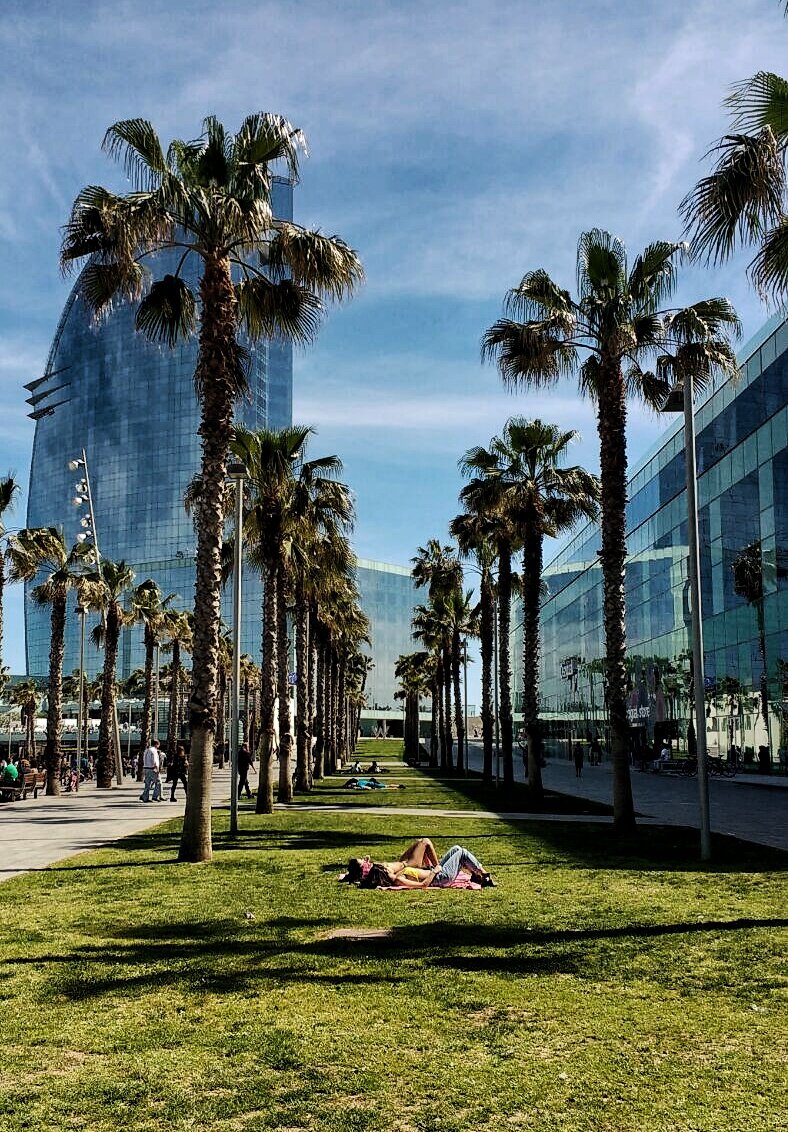 Рядом с отелем W Barcelona