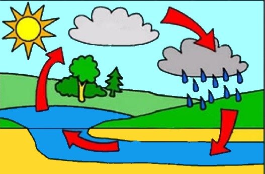 изображение взято из общедоступного источника в поиске яндекс