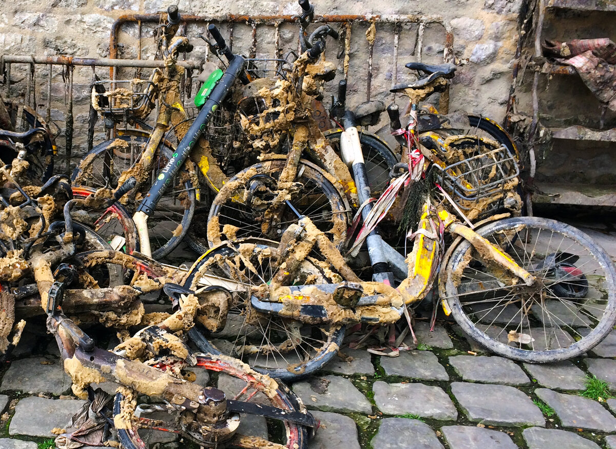 Самокаты и велосипеды, поднятые со дна Сены, неподалеку от Нотр-Дам де Пари.