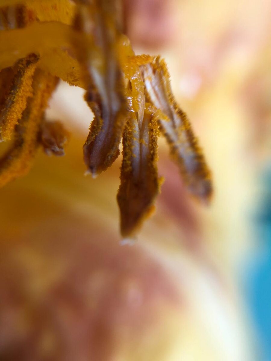 фотограф @pronicheva_oksana