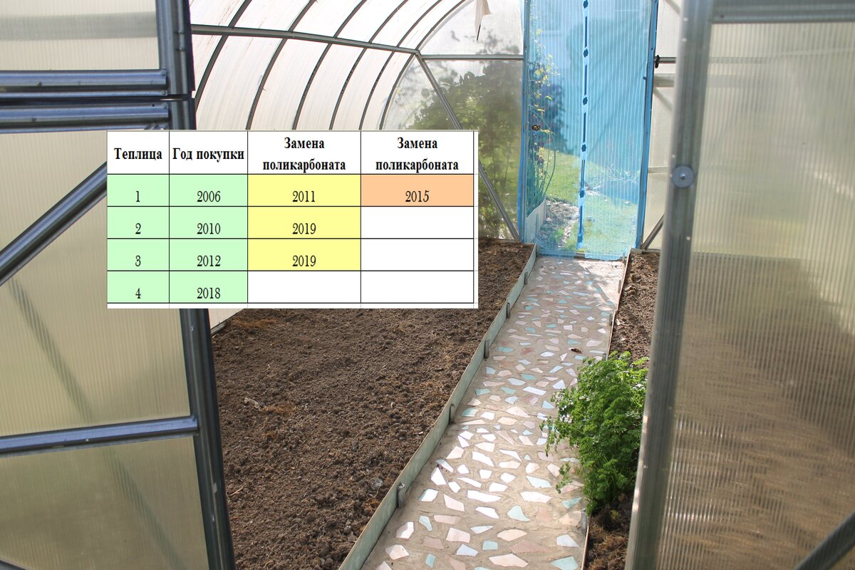 Через сколько лет пора менять на теплице поликарбонат? | Есть время под  солнцем | Дзен