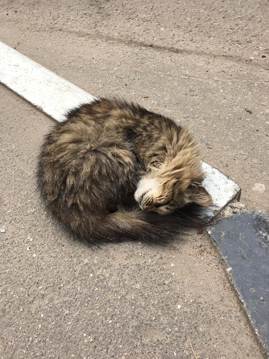 Помогите мне, я умираю...