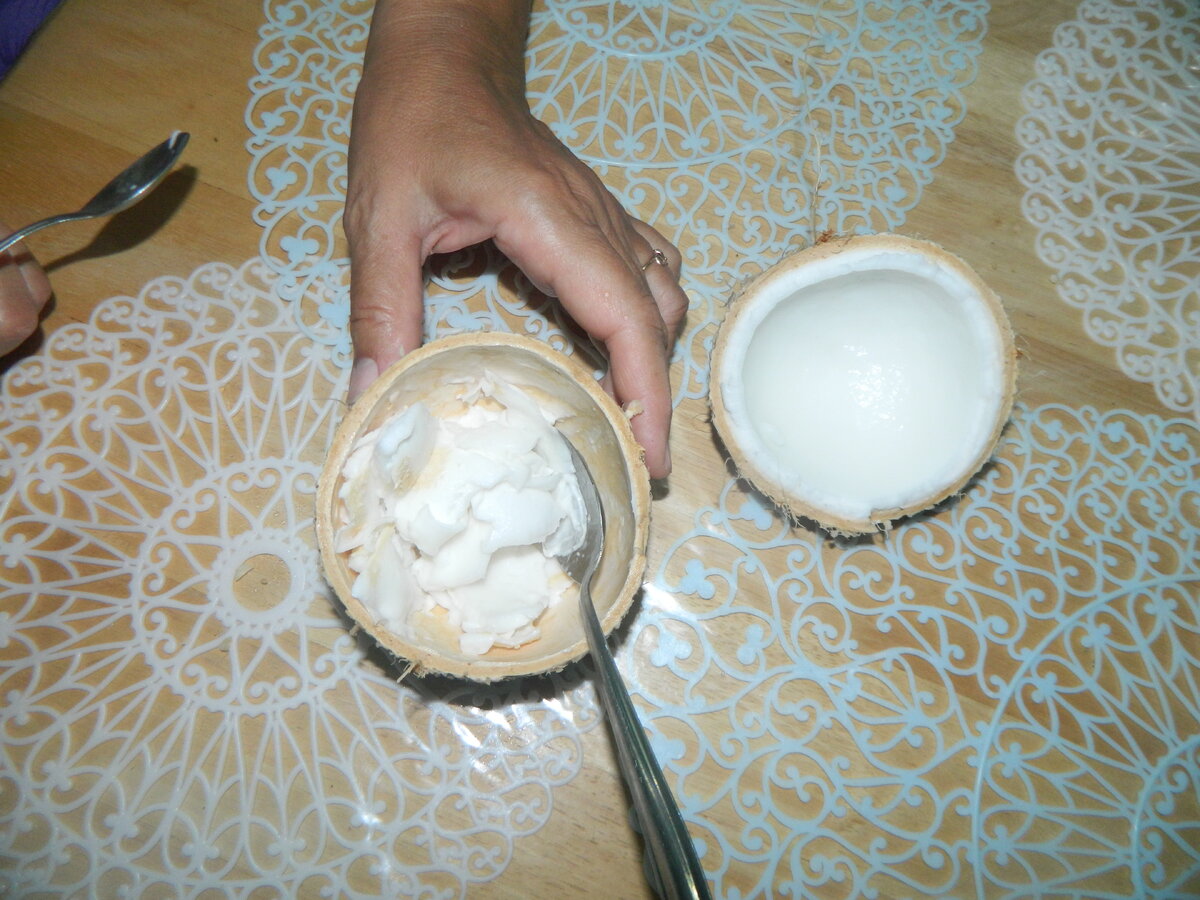 Молодой кокос