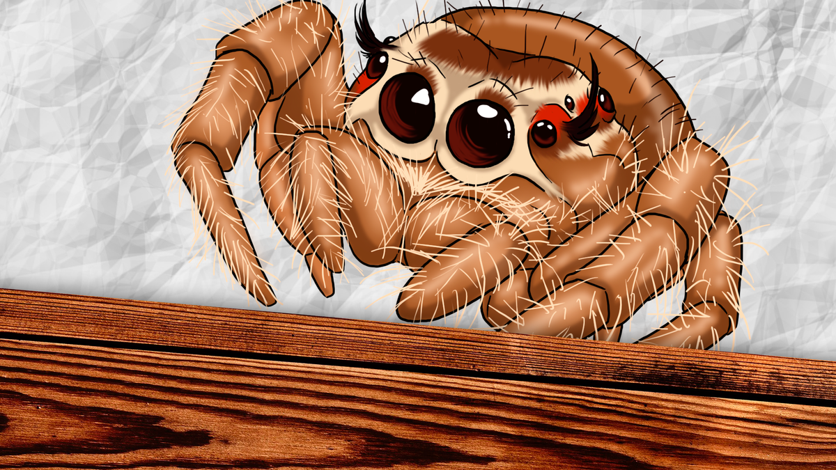 Фотография взята с сайта pinterest.ru