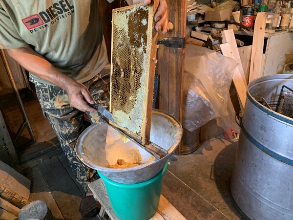 Как собирают мёд. Фоторепортаж с деревенской пасеки