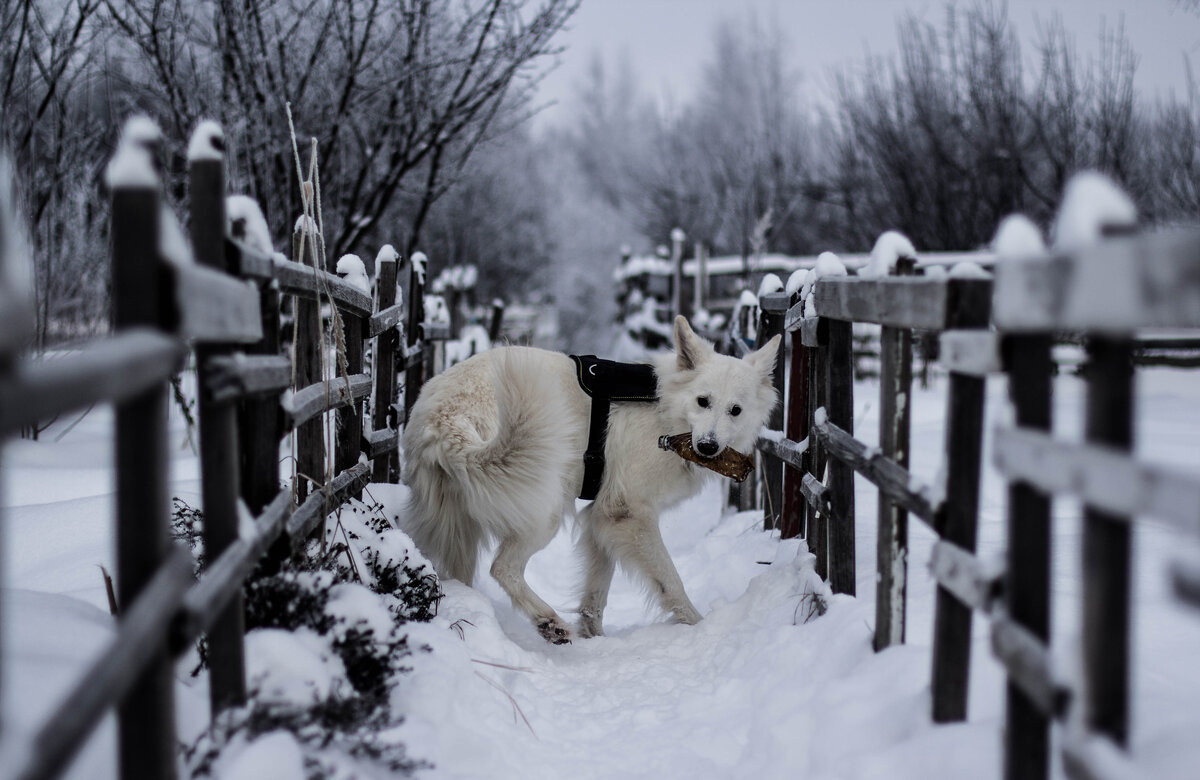 Линда со своей любимой игрушкой в любимом времени года...