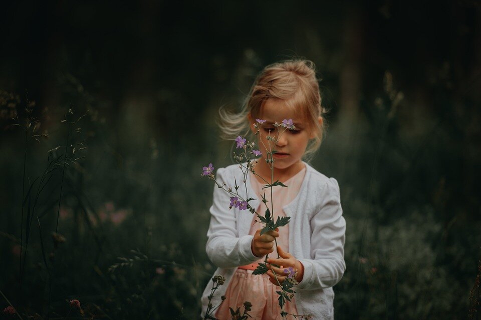 https://cdn.pixabay.com/photo/2019/08/28/14/24/flowers-4436910_960_720.jpg