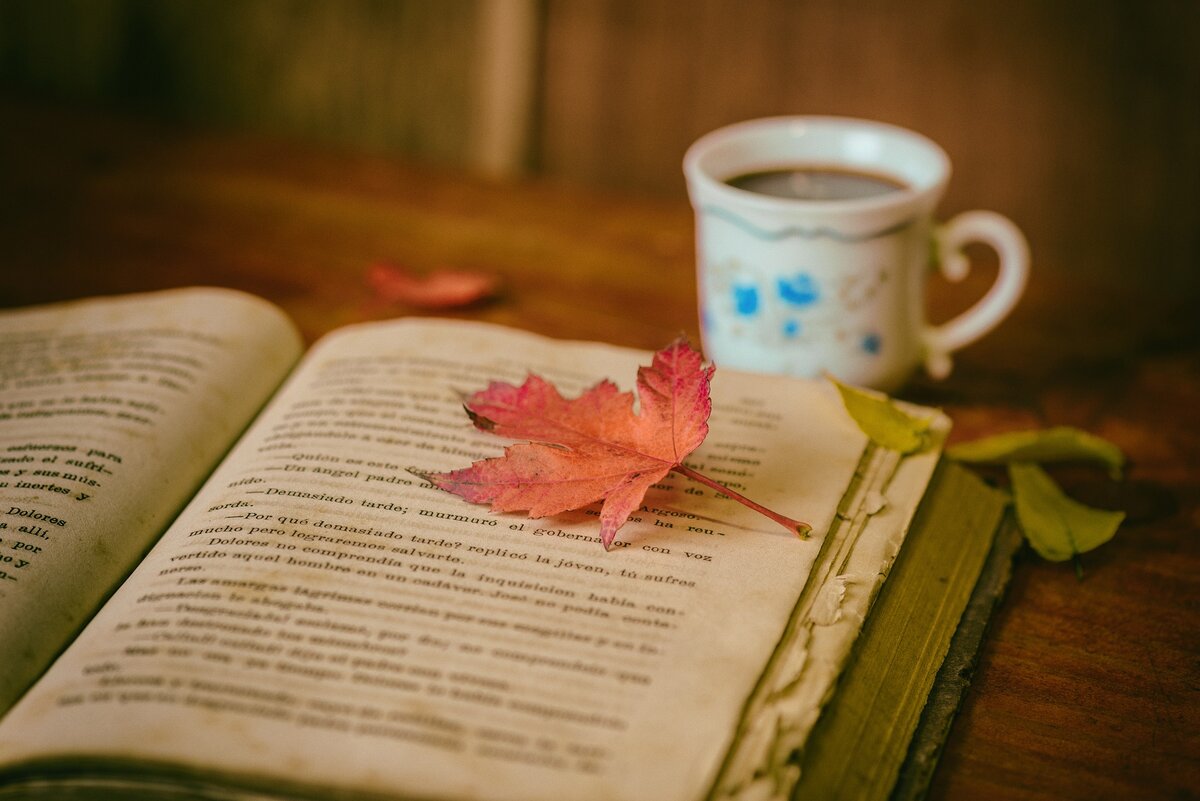 https://pixabay.com/photos/leaves-books-color-coffee-cup-1076307/