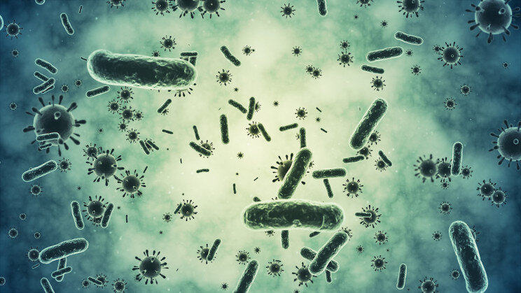 Фото: spawns/iStock
