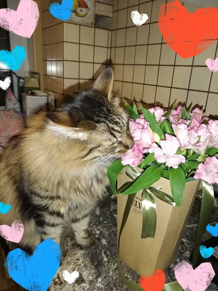 Наш бывший выпускник Ганс поздравляет всех читательниц нашего канала с Международным женским Днём!